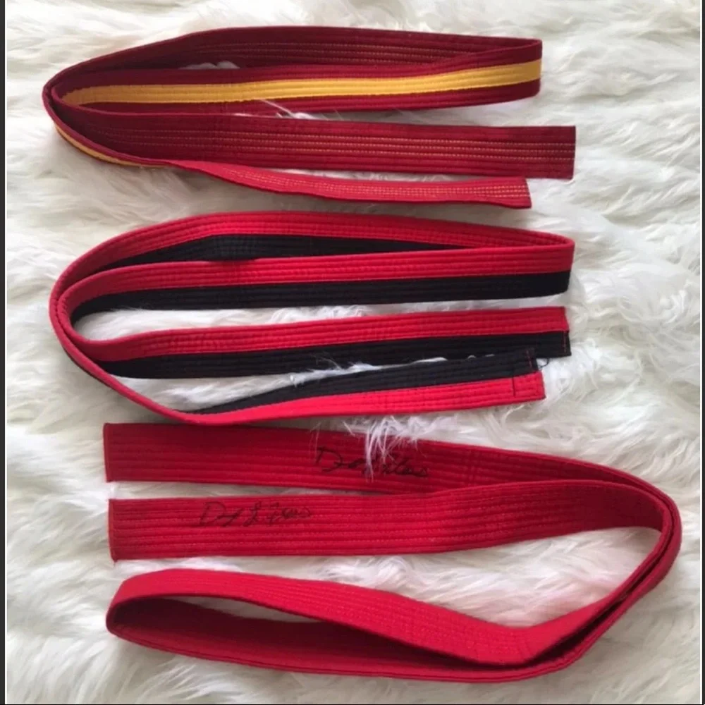 ATA Martial Arts Red Belts Set of 3